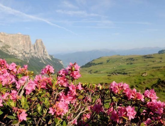 Fingerhof in Fiè allo Sciliar / Alto Adige