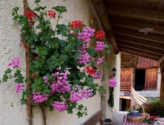 Fingerhof in Völs am Schlern - Südtirol