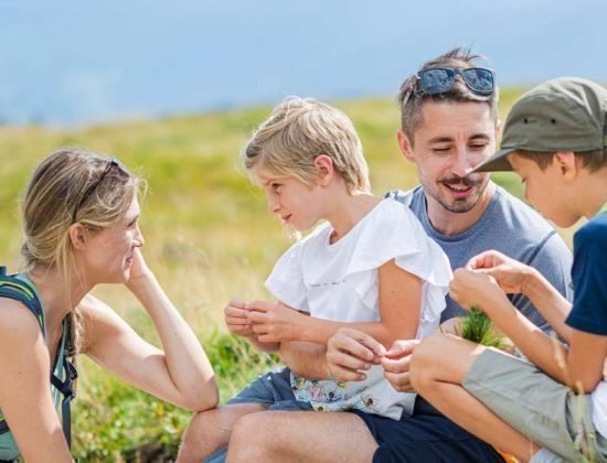 fruehling-auf-der-seiser-alm-suedtirol