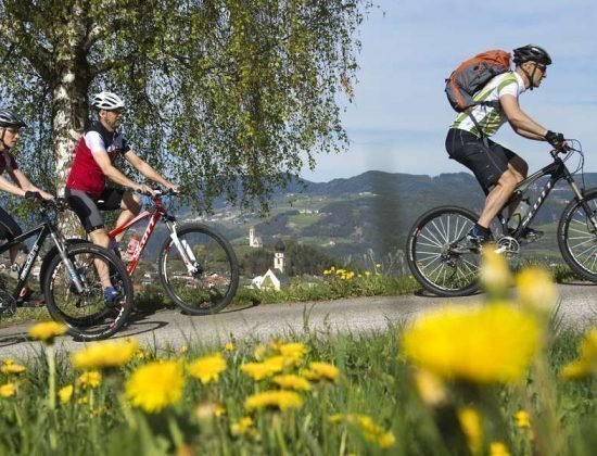 Spring on the Alpe di Siusi