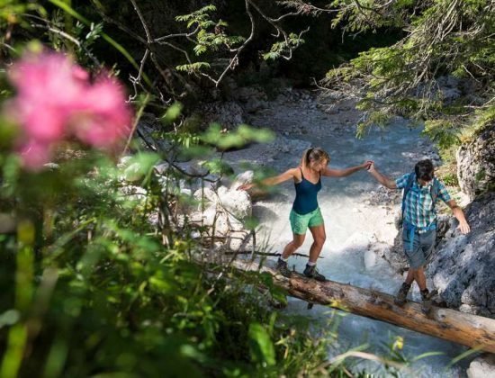 Vacanze estive a Fiè - Alto Adige